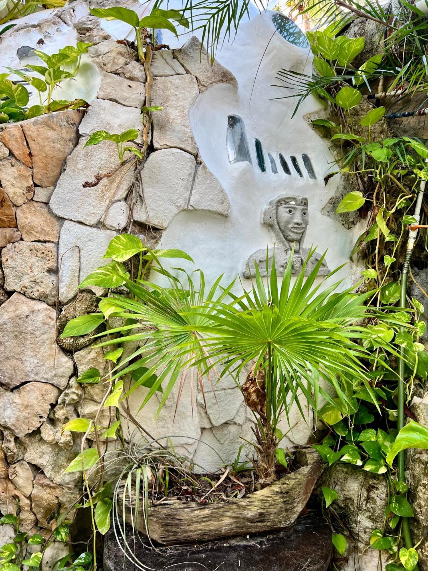 La Quinta Orquidea Bed and Breakfast Puerto Morelos Eksteriør billede