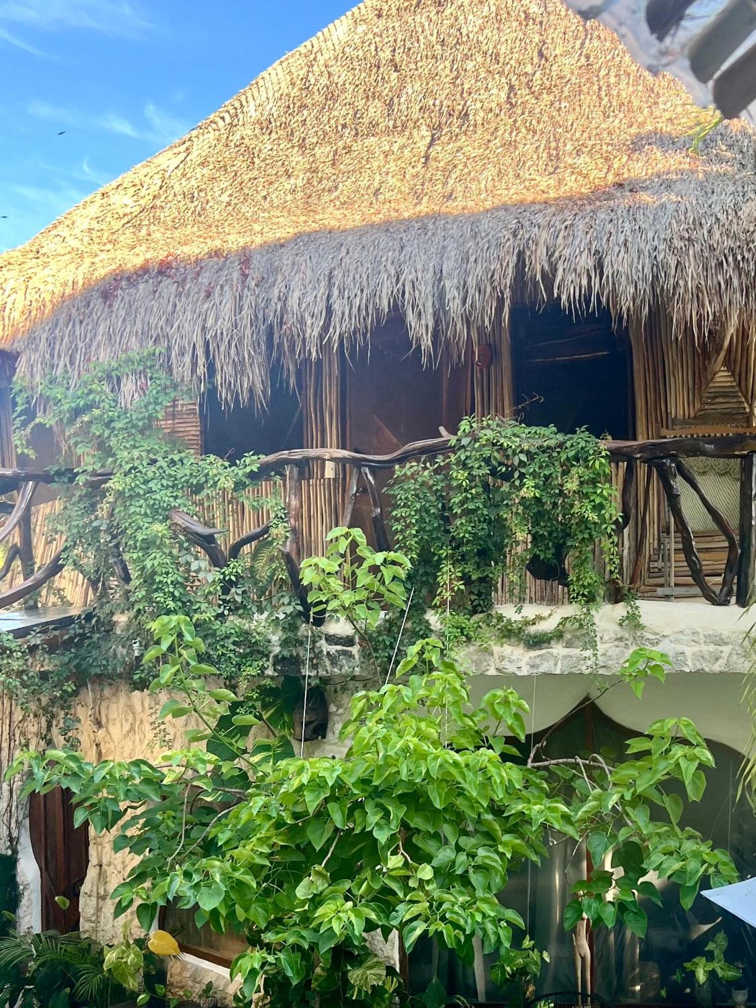 La Quinta Orquidea Bed and Breakfast Puerto Morelos Eksteriør billede