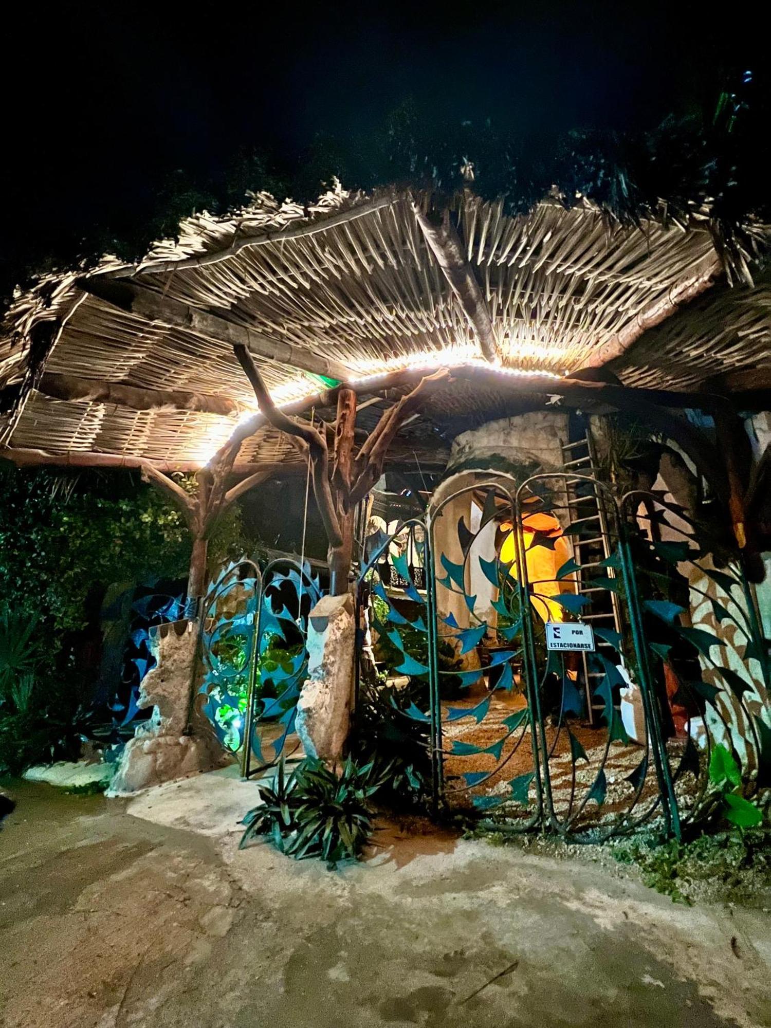La Quinta Orquidea Bed and Breakfast Puerto Morelos Eksteriør billede
