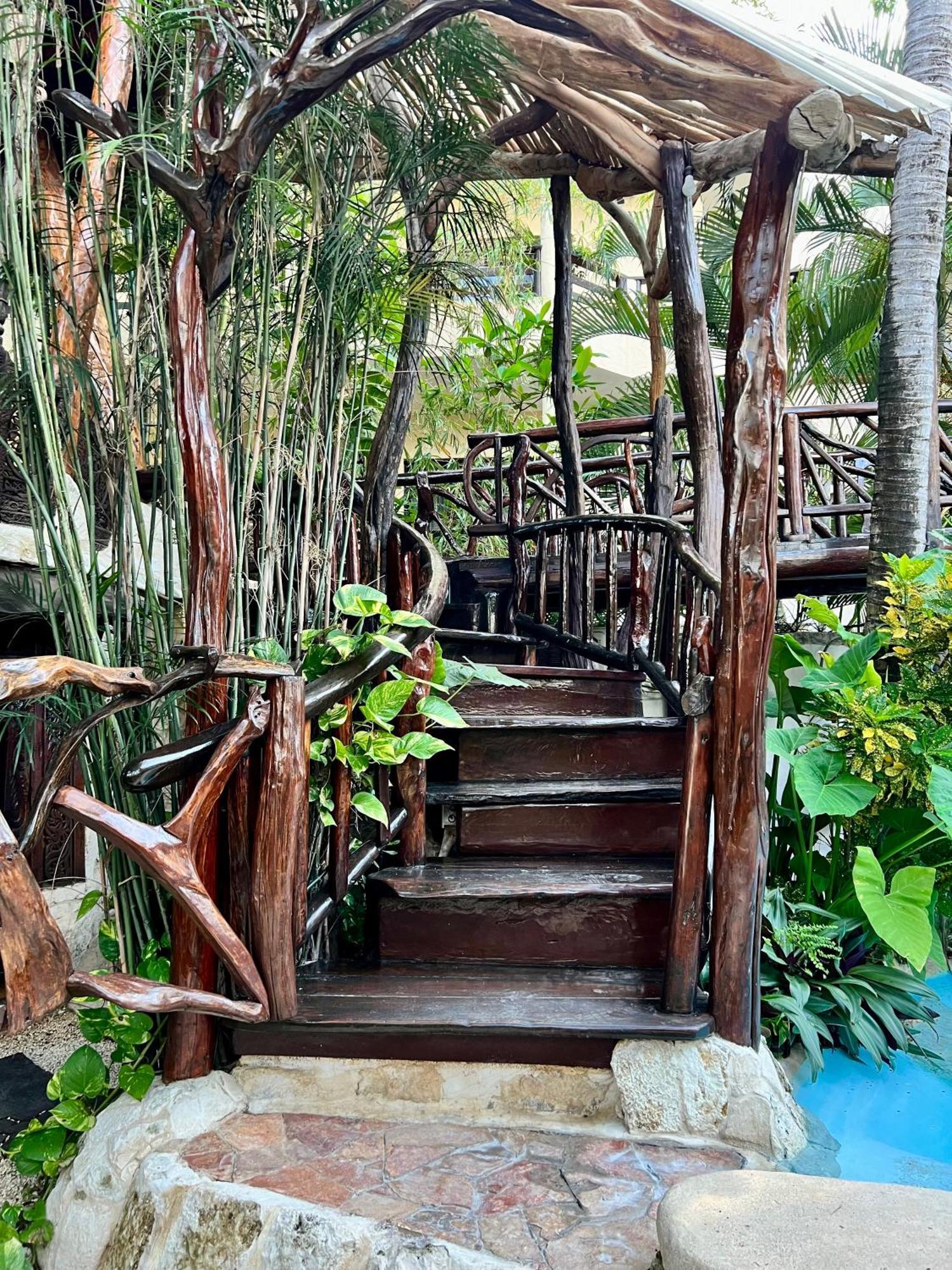 La Quinta Orquidea Bed and Breakfast Puerto Morelos Eksteriør billede