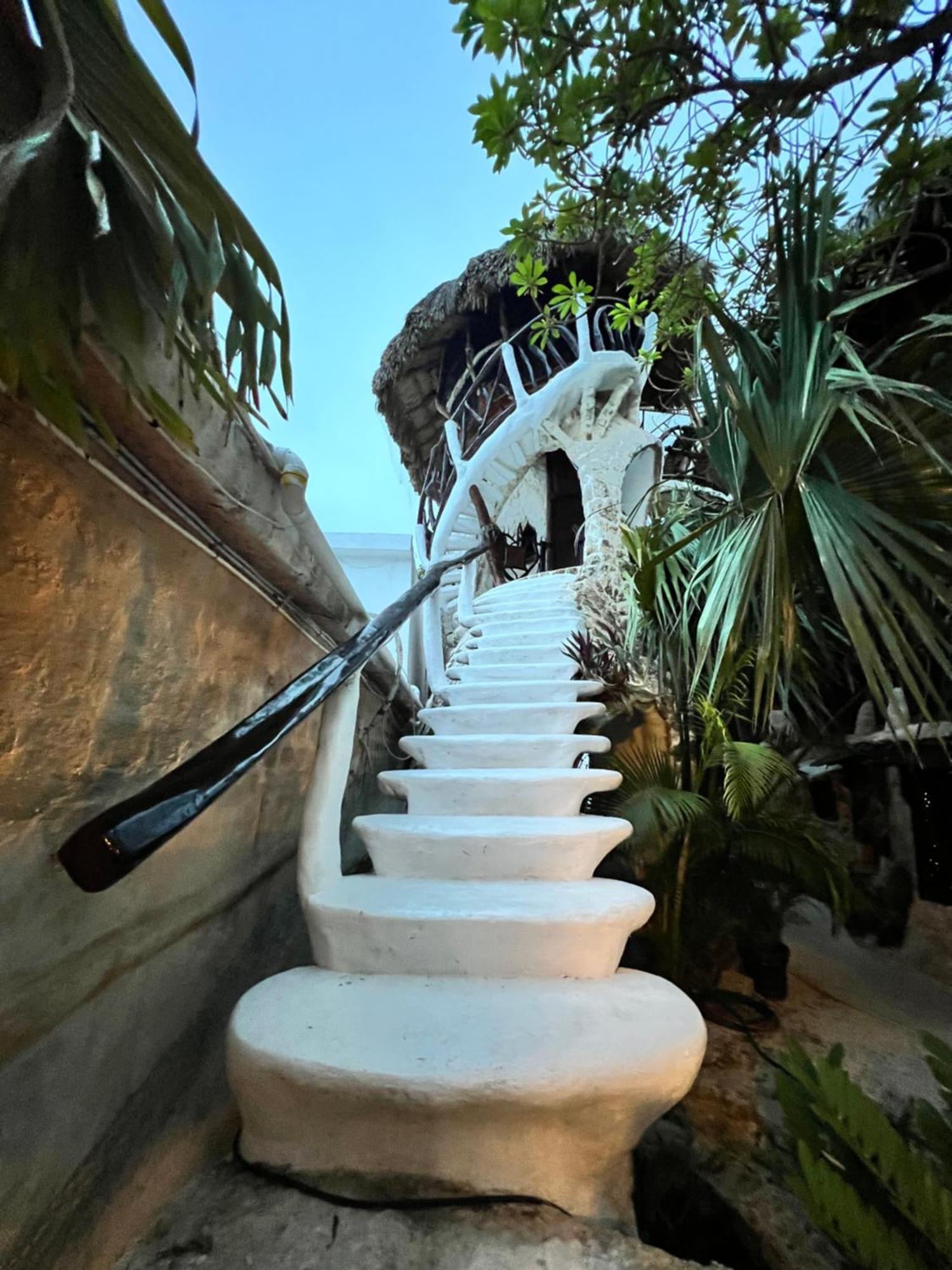 La Quinta Orquidea Bed and Breakfast Puerto Morelos Eksteriør billede