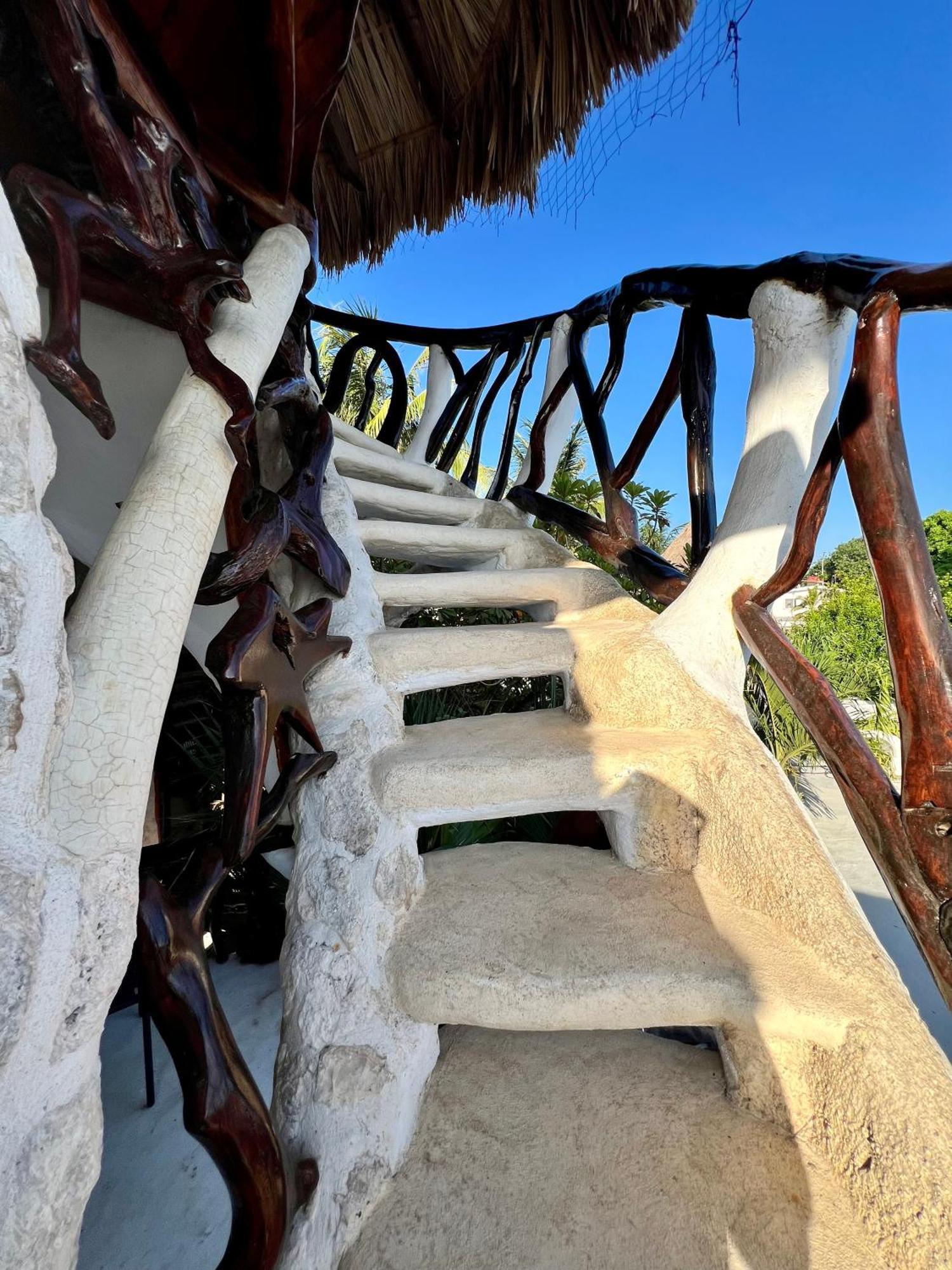 La Quinta Orquidea Bed and Breakfast Puerto Morelos Eksteriør billede