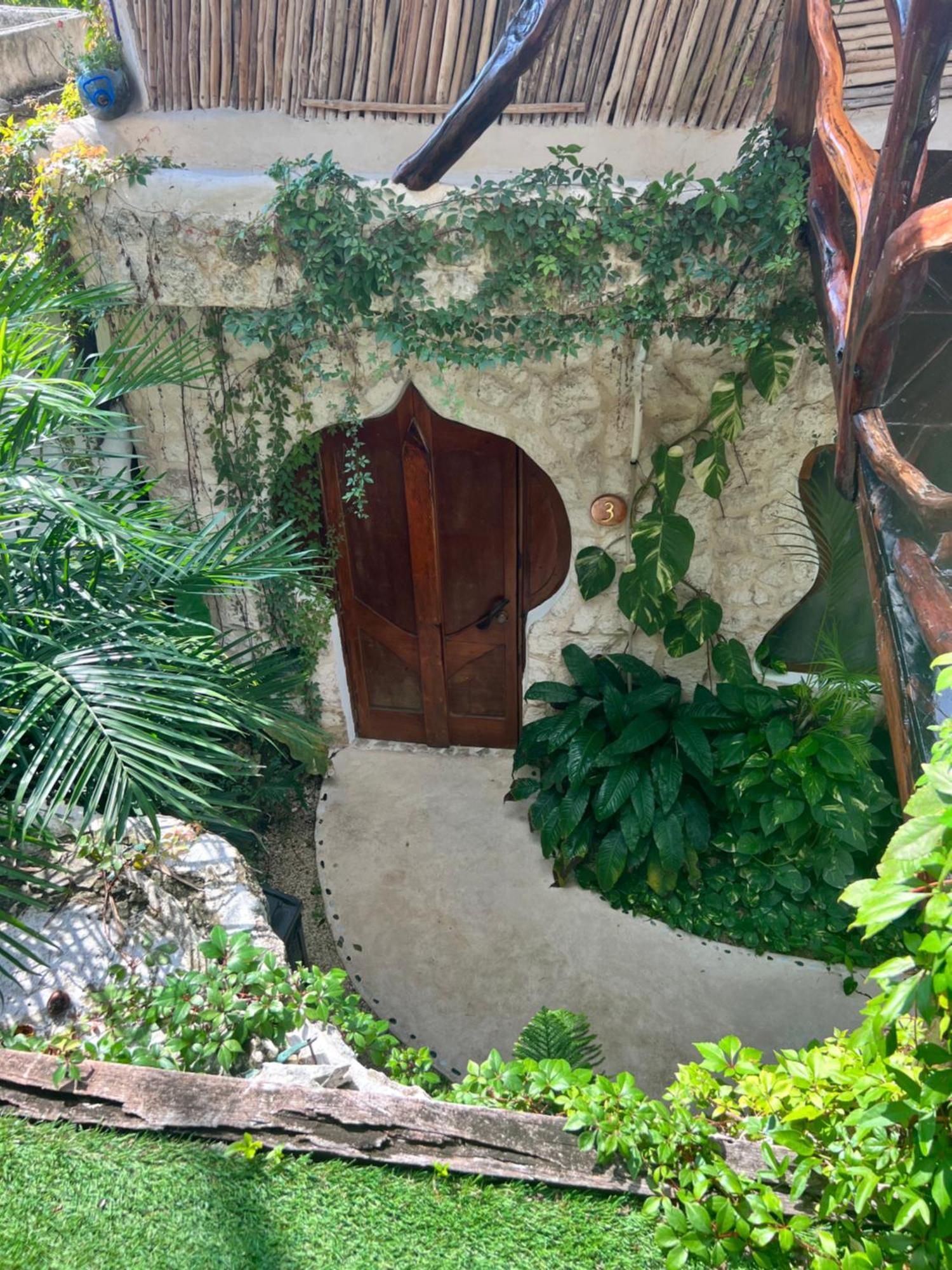 La Quinta Orquidea Bed and Breakfast Puerto Morelos Eksteriør billede